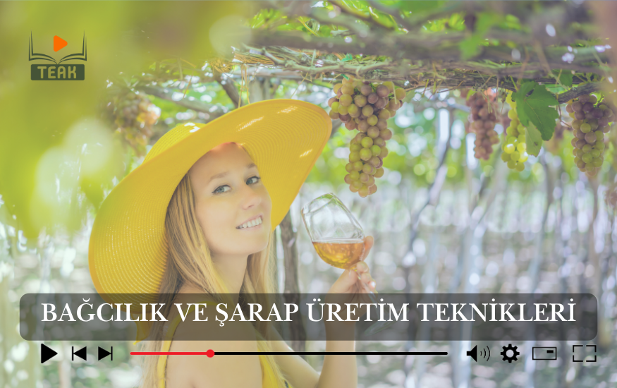 Bağcılık ve Şarap Yapım Teknikleri Kursu