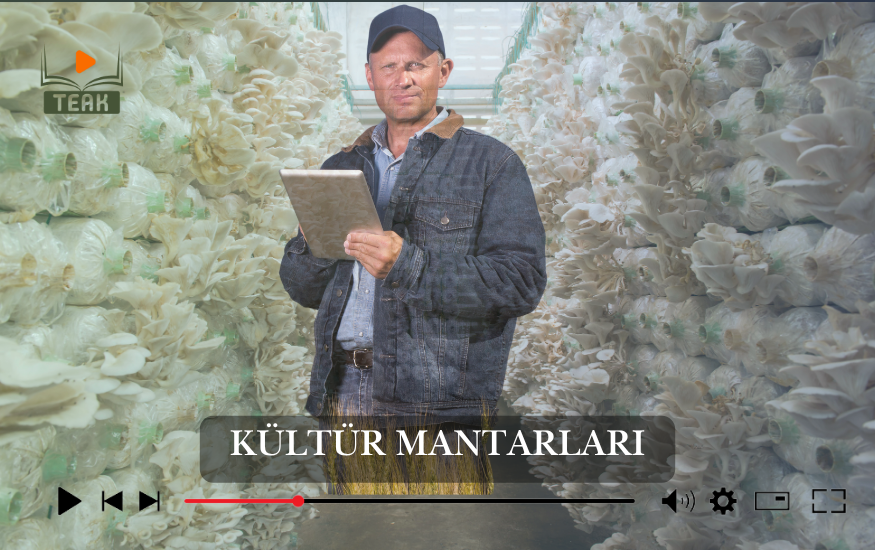 Kültür Mantar Yetiştiriciliği Kursu