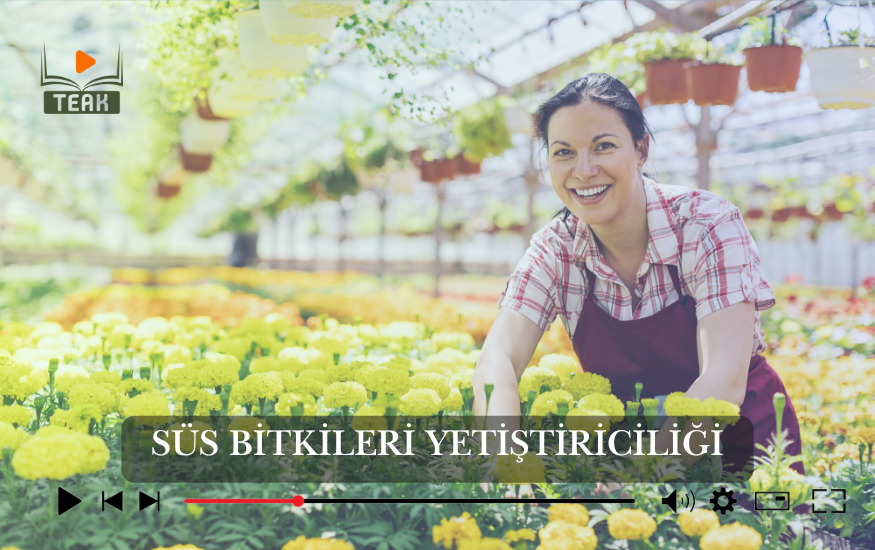 Süs Bitkileri Yetiştiriciliği Kursu