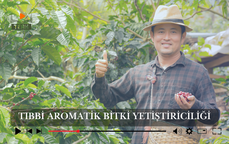 Tıbbi ve Aromatik Bitki Yetiştiriciliği Kursu