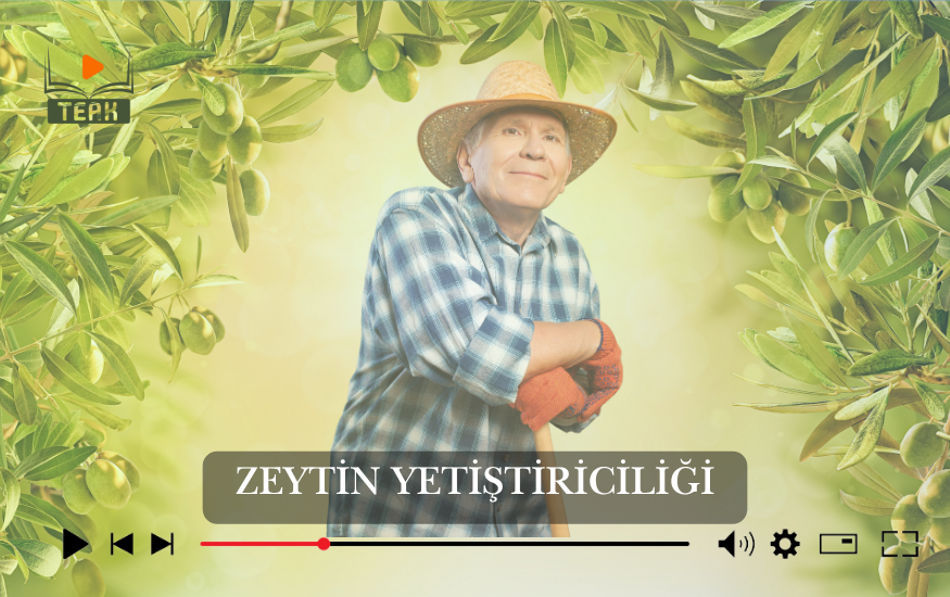 Zeytin Yetiştiriciliği Kursu